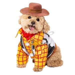 Toy Story Woody Costume For Dog